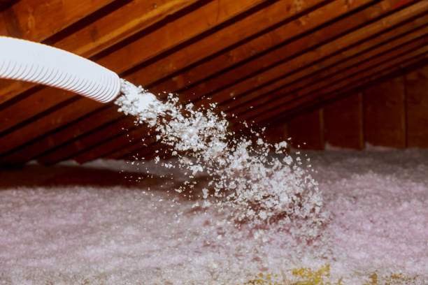 Best Cellulose Insulation  in Centuria, WI