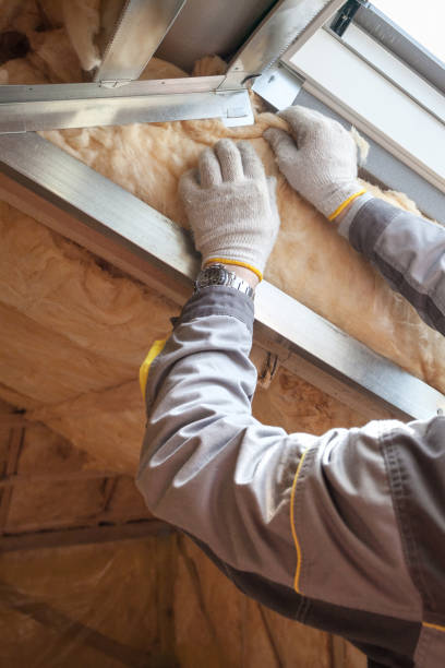 Best Insulation Repair Services  in Centuria, WI