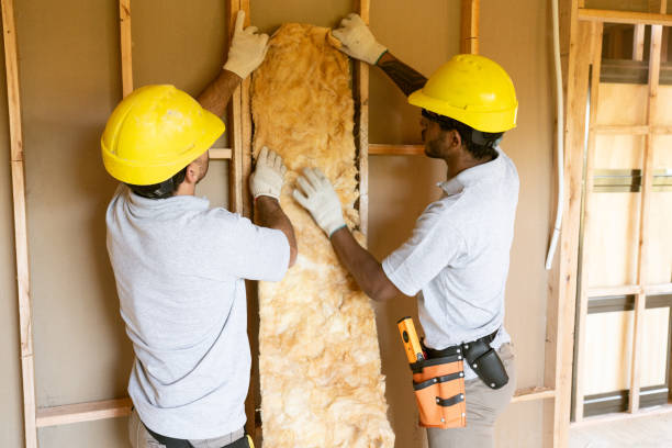 Insulation Inspection Services in Centuria, WI