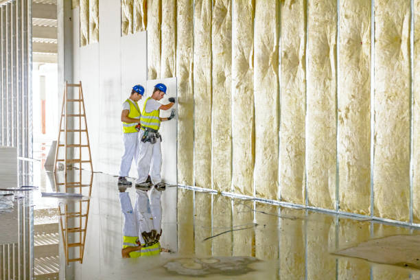 Best Insulation Removal Services  in Centuria, WI